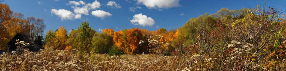 Bear Lake Ontario - Fall Colours